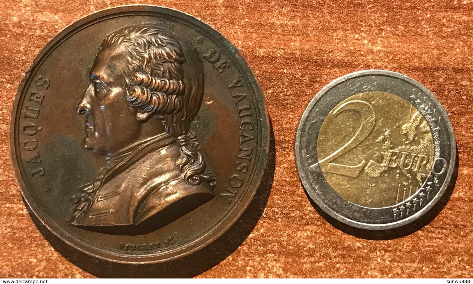 Médaille Bronze Cuivre Jacques De Vauganson, Pingret 1820...oxydation (prix Fixe, Recommandé Inclus) - Royaux / De Noblesse