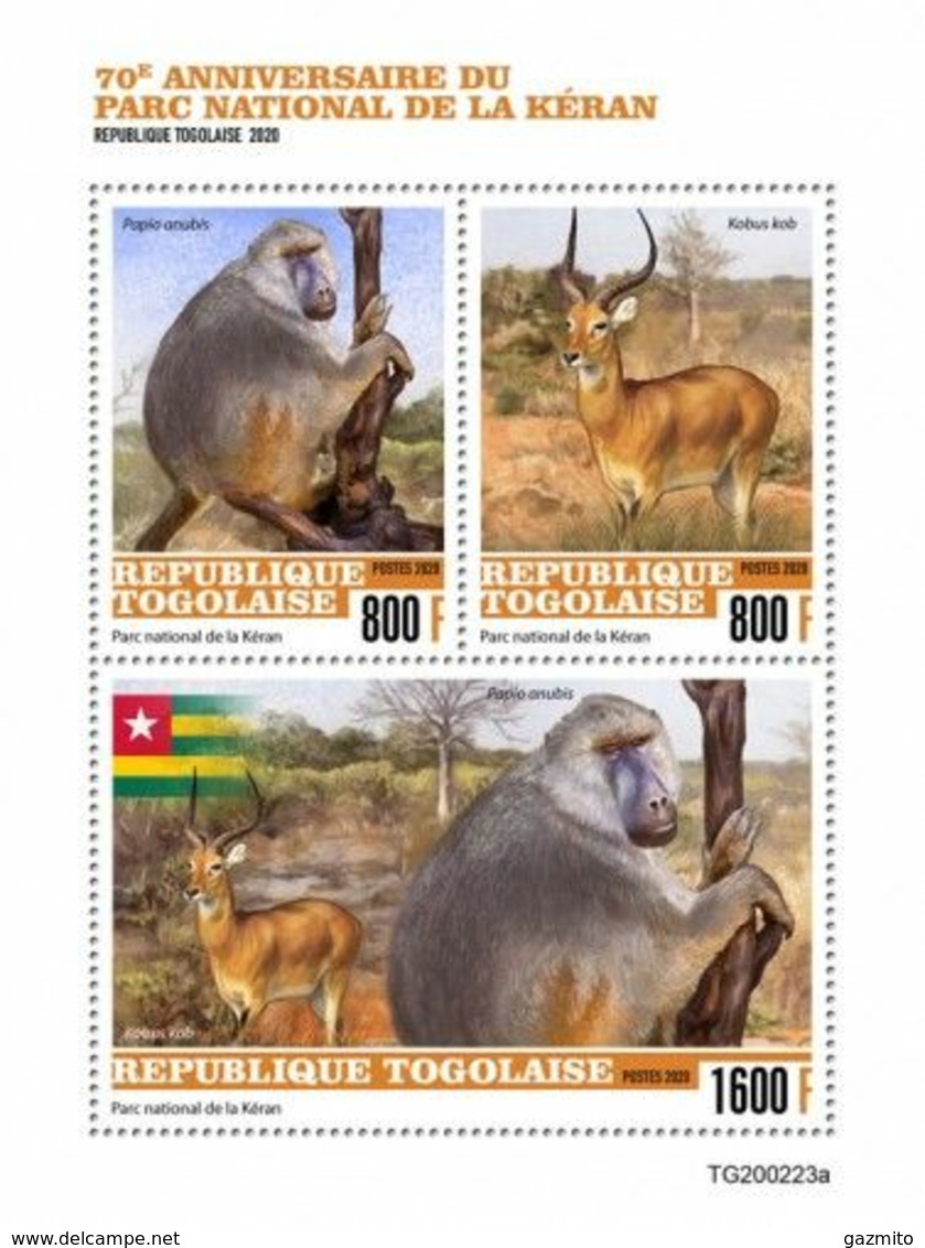 Togo 2020, Oti-Keran Park, Monkey, 3val In BF - Chimpanzés