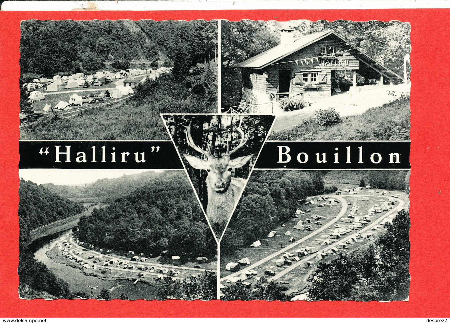BOUILLON Sur SEMOIS Cpsm Terrain De Camping HALLIRU   Edit Thill - Bouillon