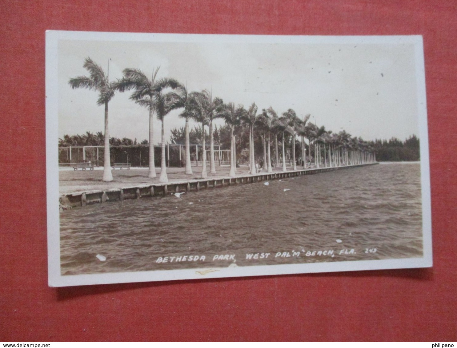 RPPC   Bethesda Park  West Palm Beach   Glue Stain On Back   Florida    Ref 4318 - West Palm Beach