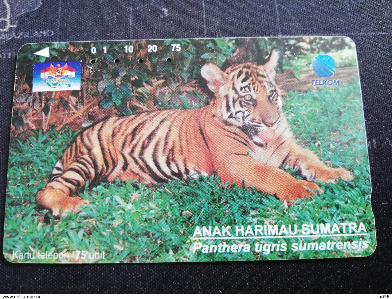 INDONESIA MAGNETIC/TAMURA 75 UNITS  TIGRE  PANTERAS TIGRIS        Fine Used Card   **3030 ** - Indonésie