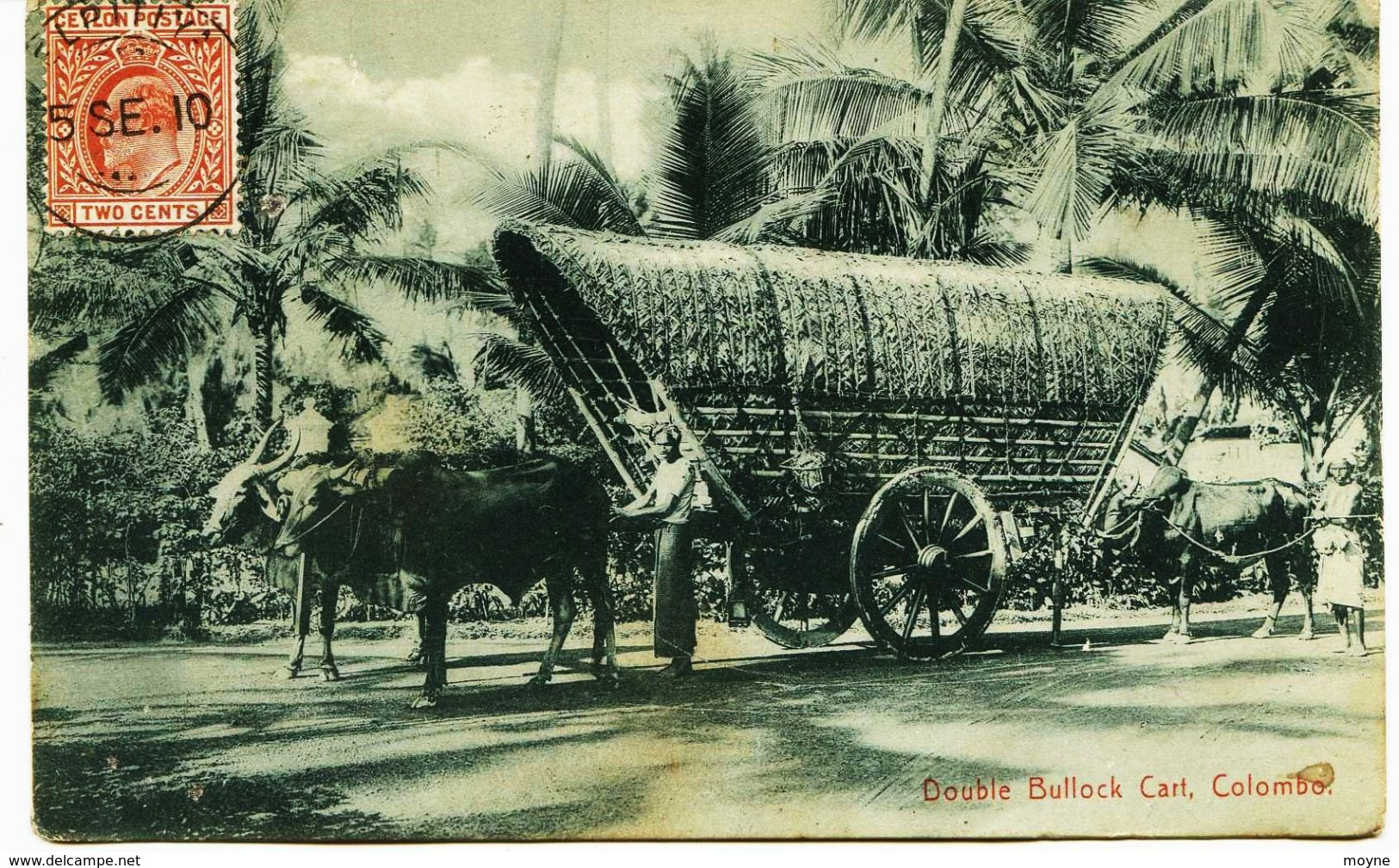 4586 -  - SRI  LANKA ( Ceylon)  - COLOMBO  :  Double  Bullock Cart  , Attelage , Transport , Métier... CIRCULEE 1910 - Sri Lanka (Ceylon)