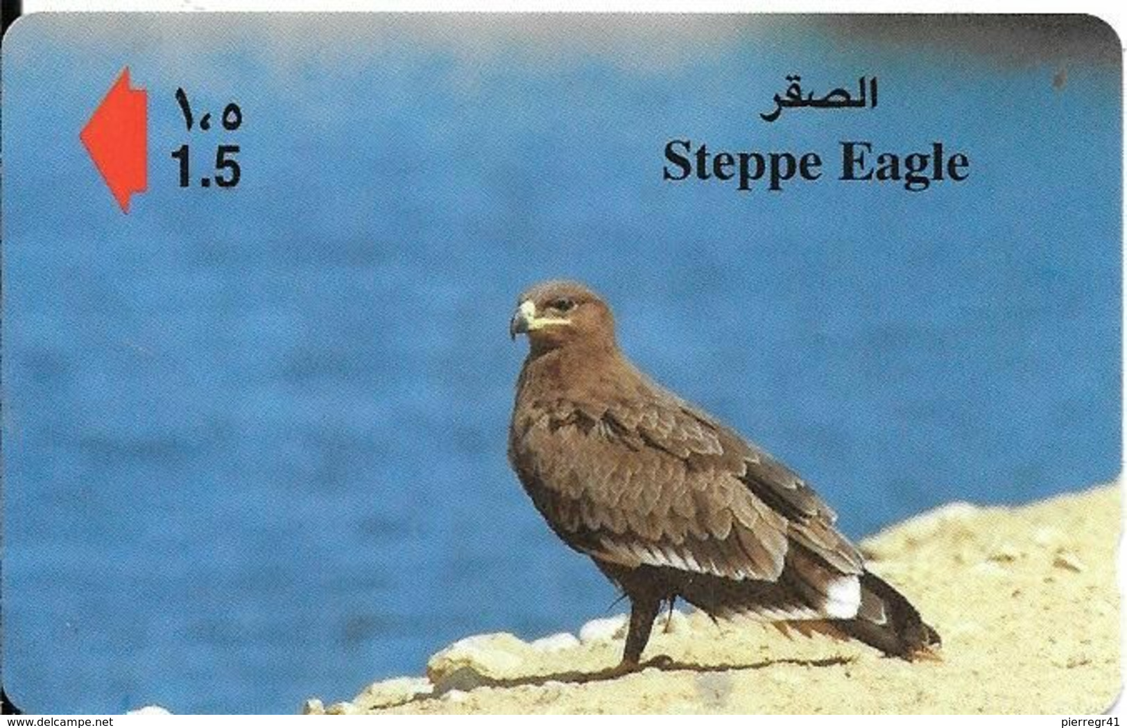CARTE-MAGNETIQUE-OMAN-1,5-AIGLE STEPPE-TBE-RARE - Eagles & Birds Of Prey