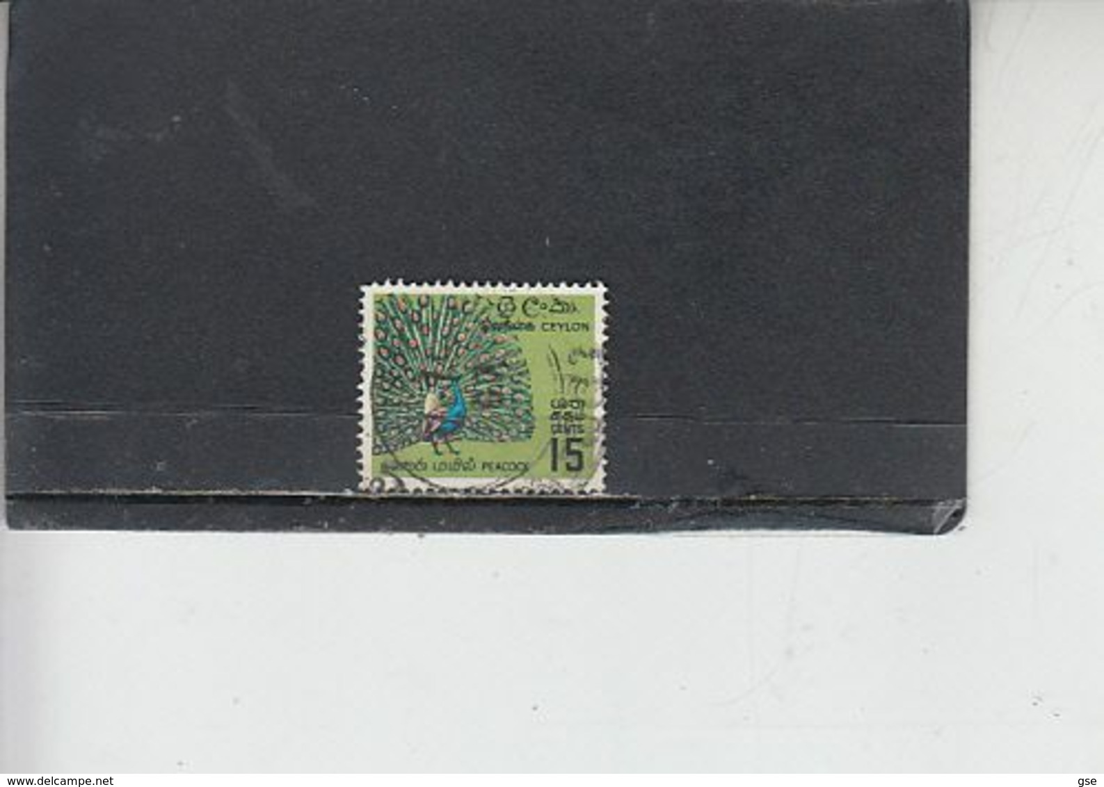 SRI LANKA - CEYLON  1966 - Yvert  359°  - Fauna Uccelli - Pauwen