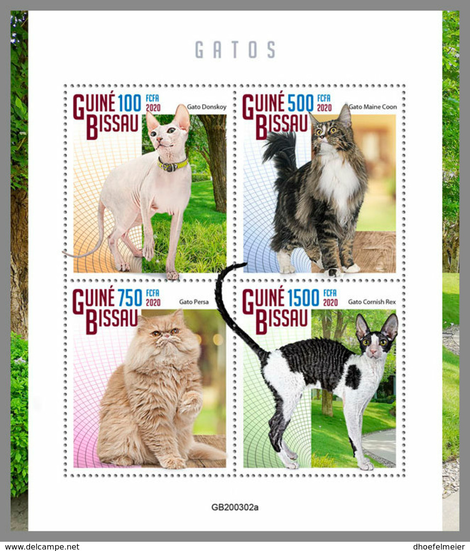 GUINEA BISSAU 2020 MNH Cats Hauskatzen Chats M/S - OFFICIAL ISSUE - DHQ2033 - Gatos Domésticos