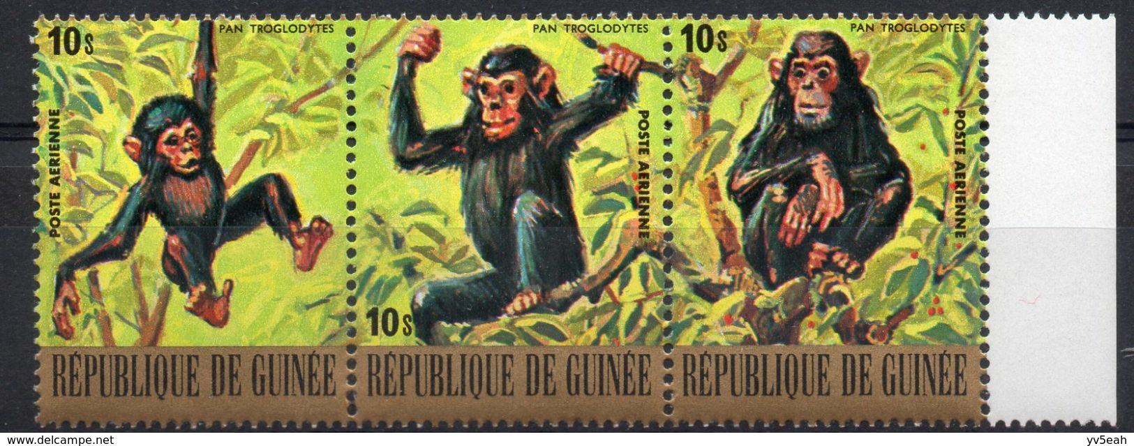 GUINEA/1977/MNH/SC#C140/ AFRICA ANIMALS / CHIMPAZEE / NATURE /STRIP OF 3 - Chimpanzés