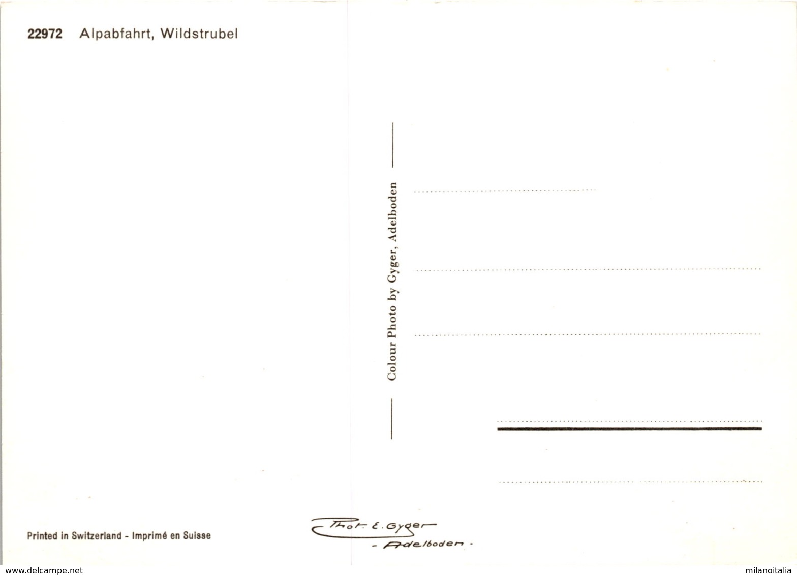 Alpabfahrt, Wildstrubel (22972) - Trub