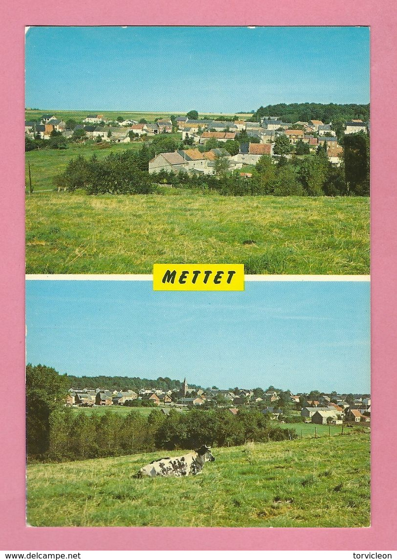 C.P. Mettet = Panorama Dee SCRY  Et  Panorama  De  PONTAURY - Mettet