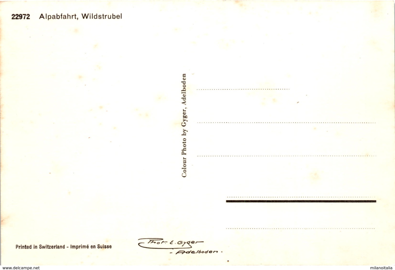 Alpabfahrt, Wildstrubel (22972) - Trub