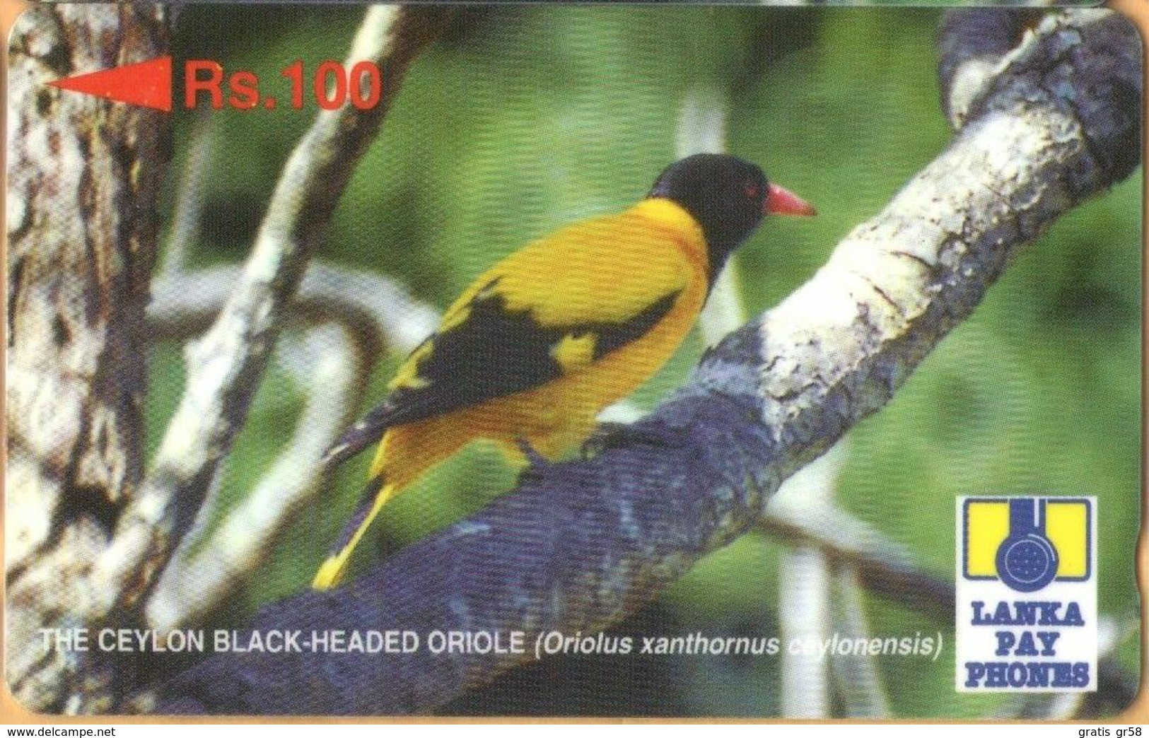 Sri Lanka (Ceylon) - SRL-21C (Ø), GPT, 21SRLC (Ø), Black-Headed Oriole, Birds, Rs.100, Used - Sri Lanka (Ceylon)