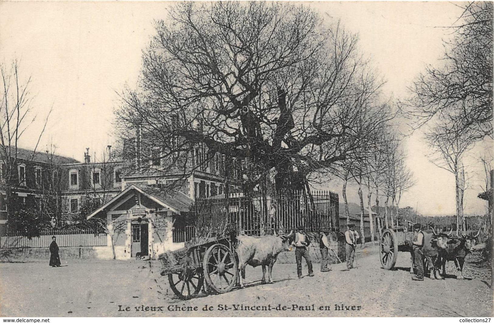 LE VIEUX CHÊNE DE ST-VINCENT-DE-PAUL- EN HIVER- (PARIS ) - Bäume