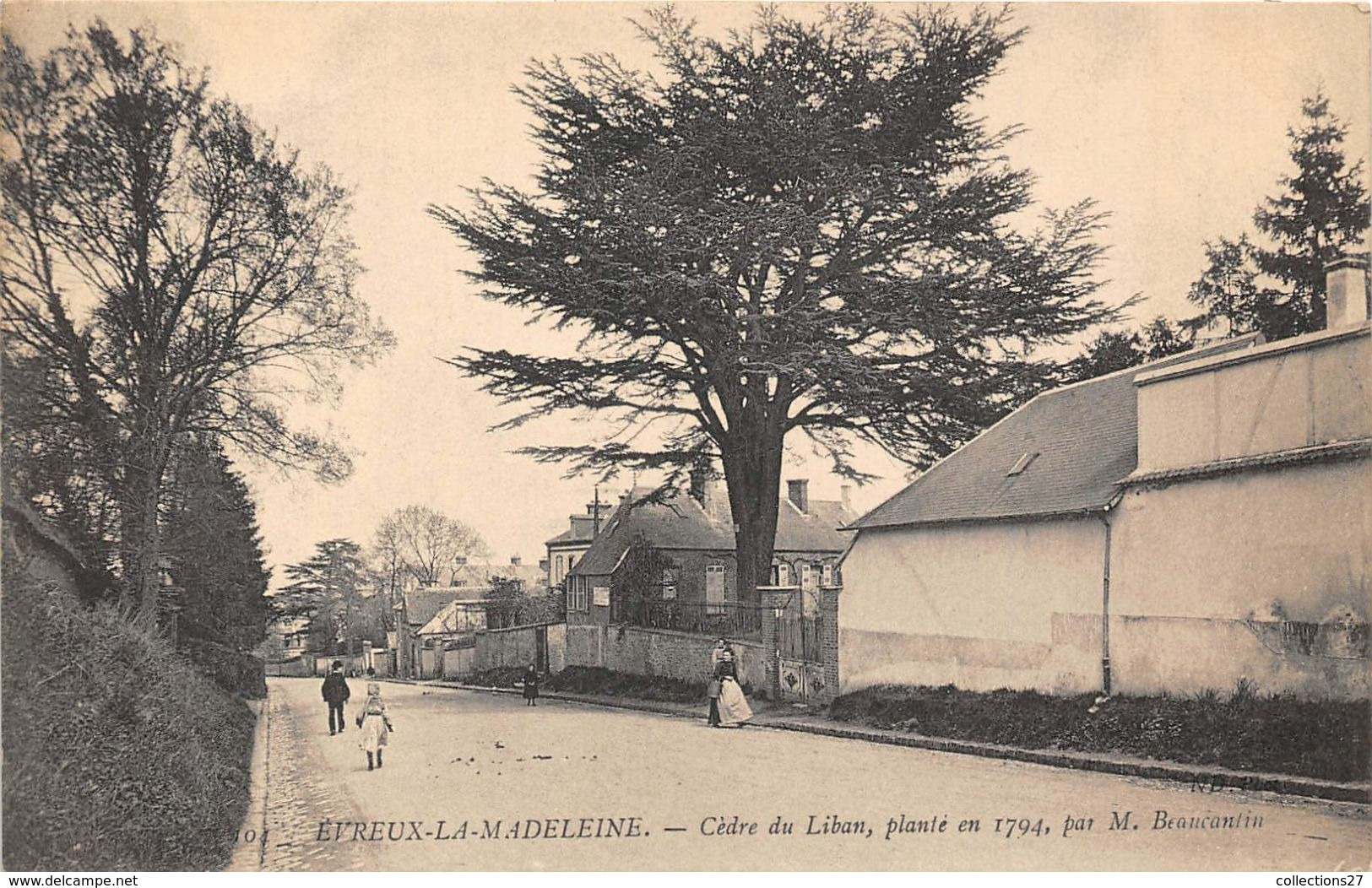 27-EVREUX-LA- MADELEINE- CEDRE DU LIBAN, PLANTE EN 1794, PAR M BEAUCANTIN - Arbres