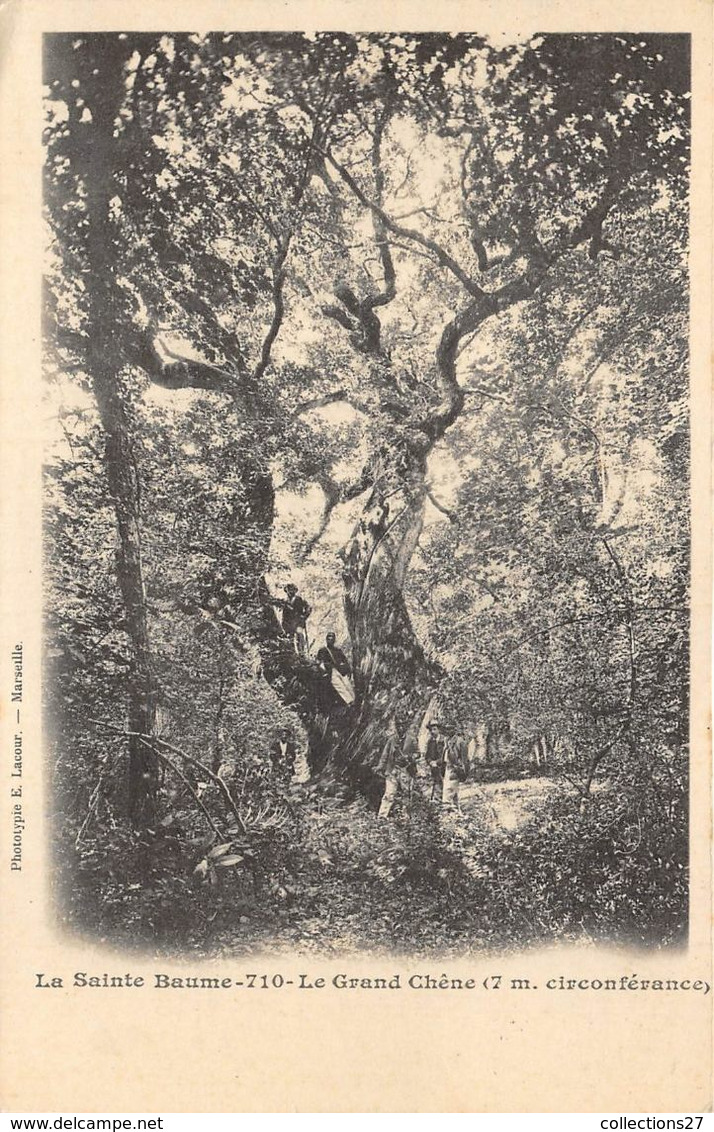 13-LA SAINTE-BAUME- LE GRAND CHÊNE 7 M CIRCONFERANCE - Bäume