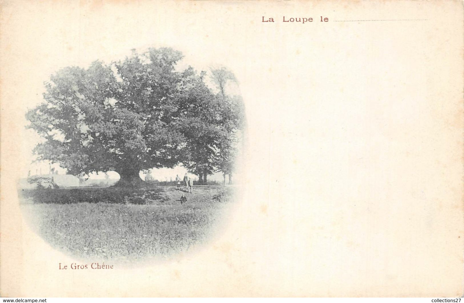 28-LA-LOUPE- LE GROS CHÊNE - Arbres