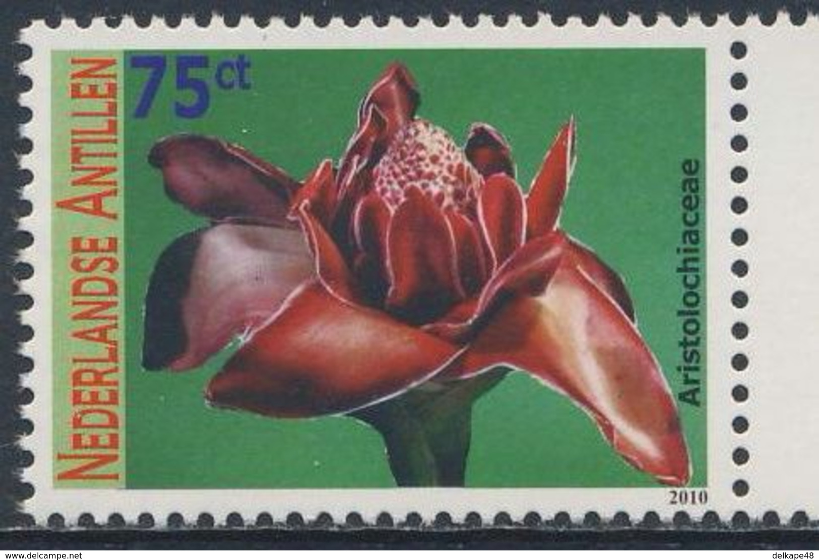 Nederlandse Antillen 2010 Mi 1804 ** Aristolochiaceae : Birthwort Family / Osterluzeigewächs - Flowers / Blumen / Blüten - Giftige Pflanzen
