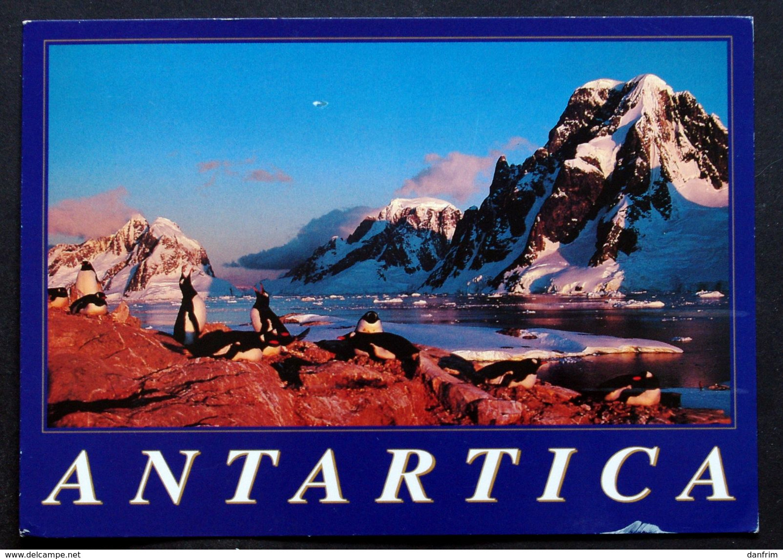 Argentina 2006 Cards Antartica   To Denmark  ( Lot 286) - Brieven En Documenten