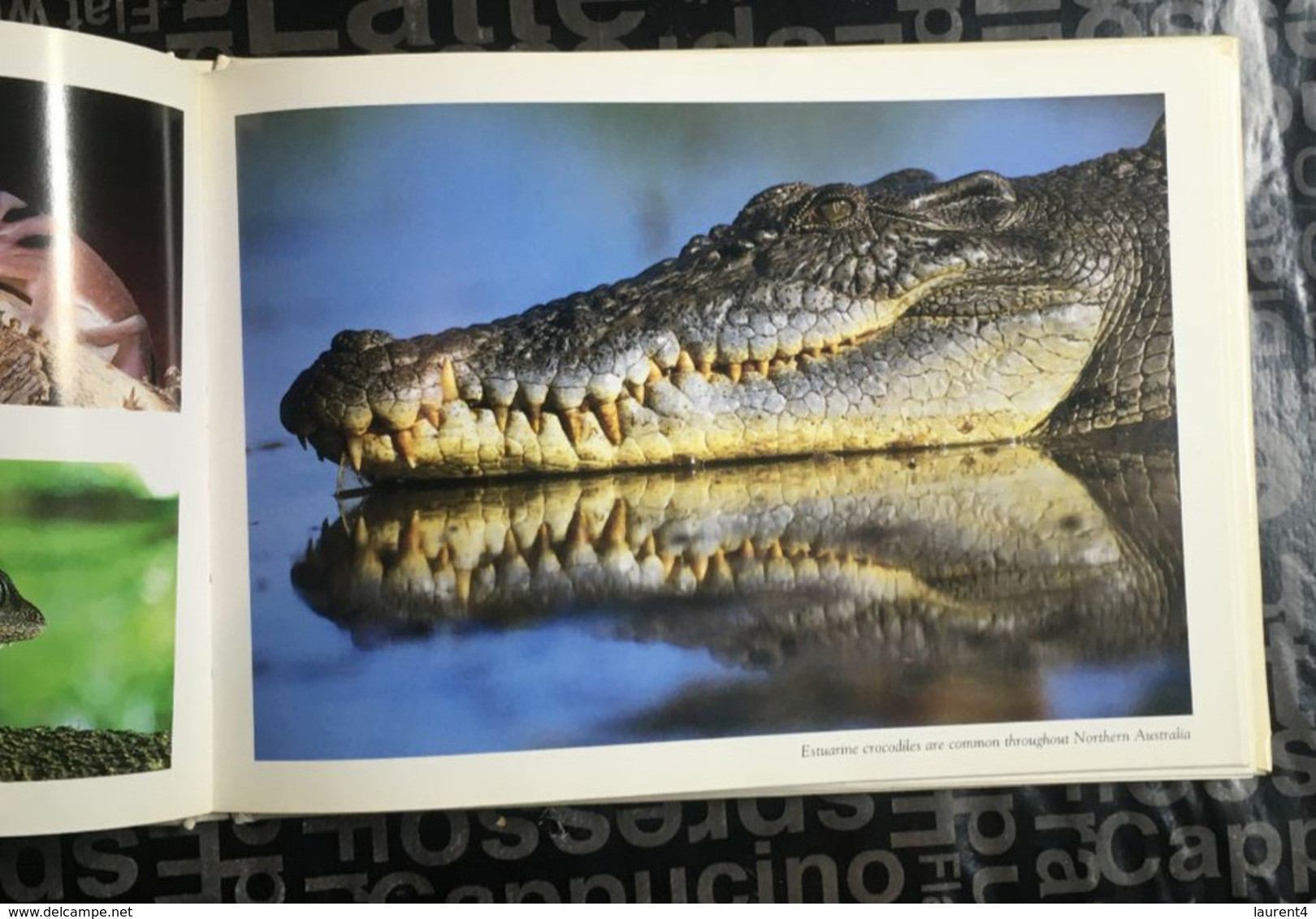 (Book) Wildlife Australia By Peter Lik (animals Photos Such As Crocodile - Wombat - Devils Etc) - 22x16cm - 300 G - Otros & Sin Clasificación