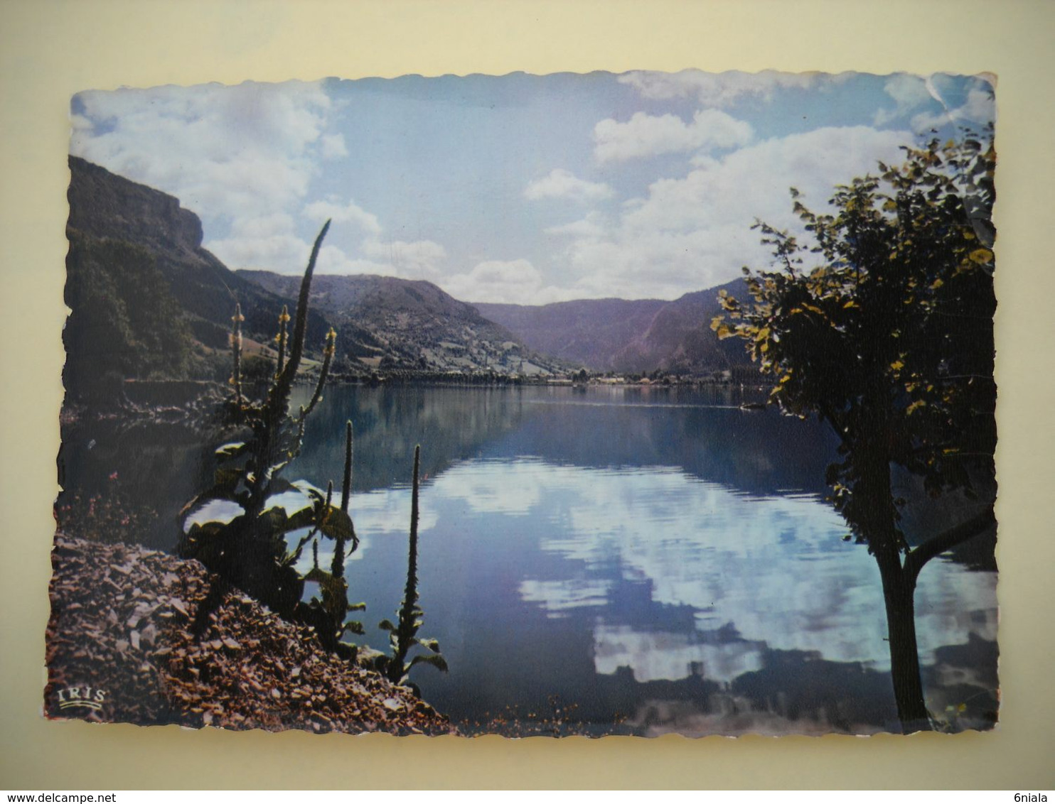 2694  Carte Postale  NANTUA   UN COIN DU LAC       01 Ain - Nantua