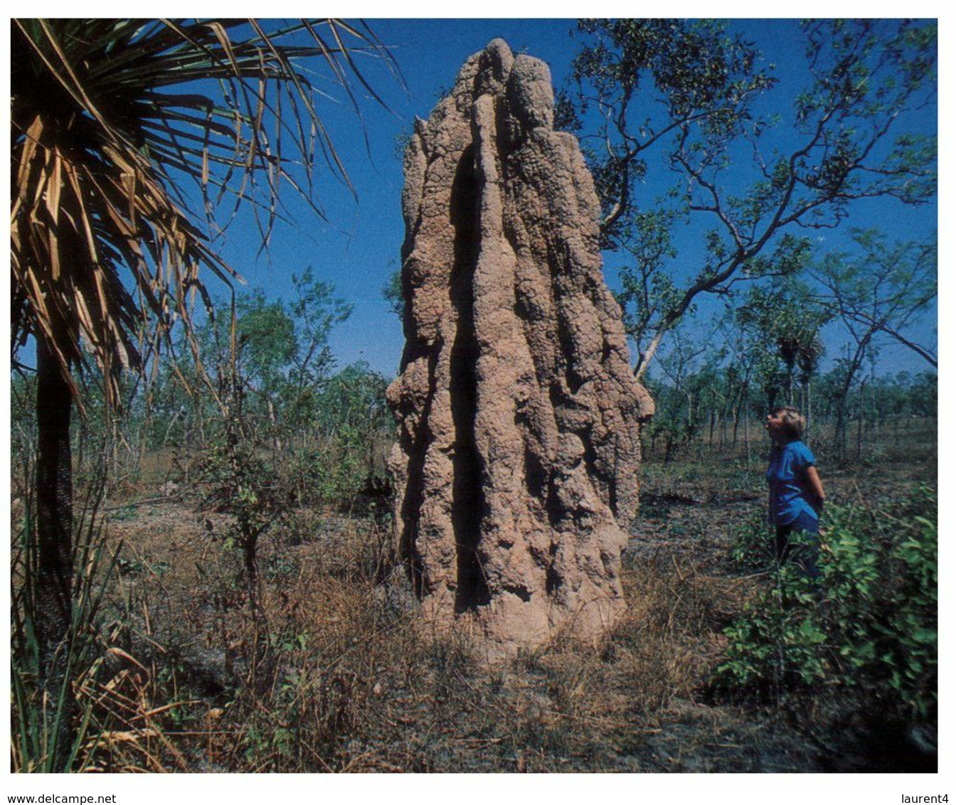 (L 3) Australia - NT - Giant Ant Hill (TBCPC39) - Kakadu