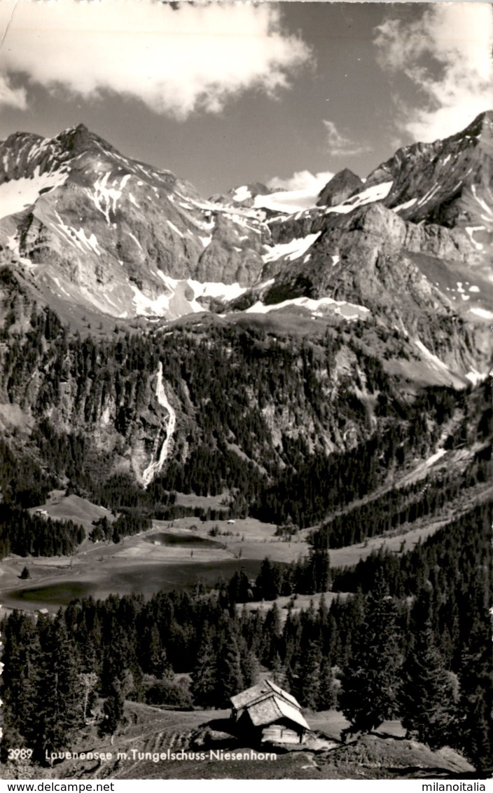 Lauenensee M. Tungelschuss-Niesenhorn (3989) * 27. 7. 1962 - Lauenen