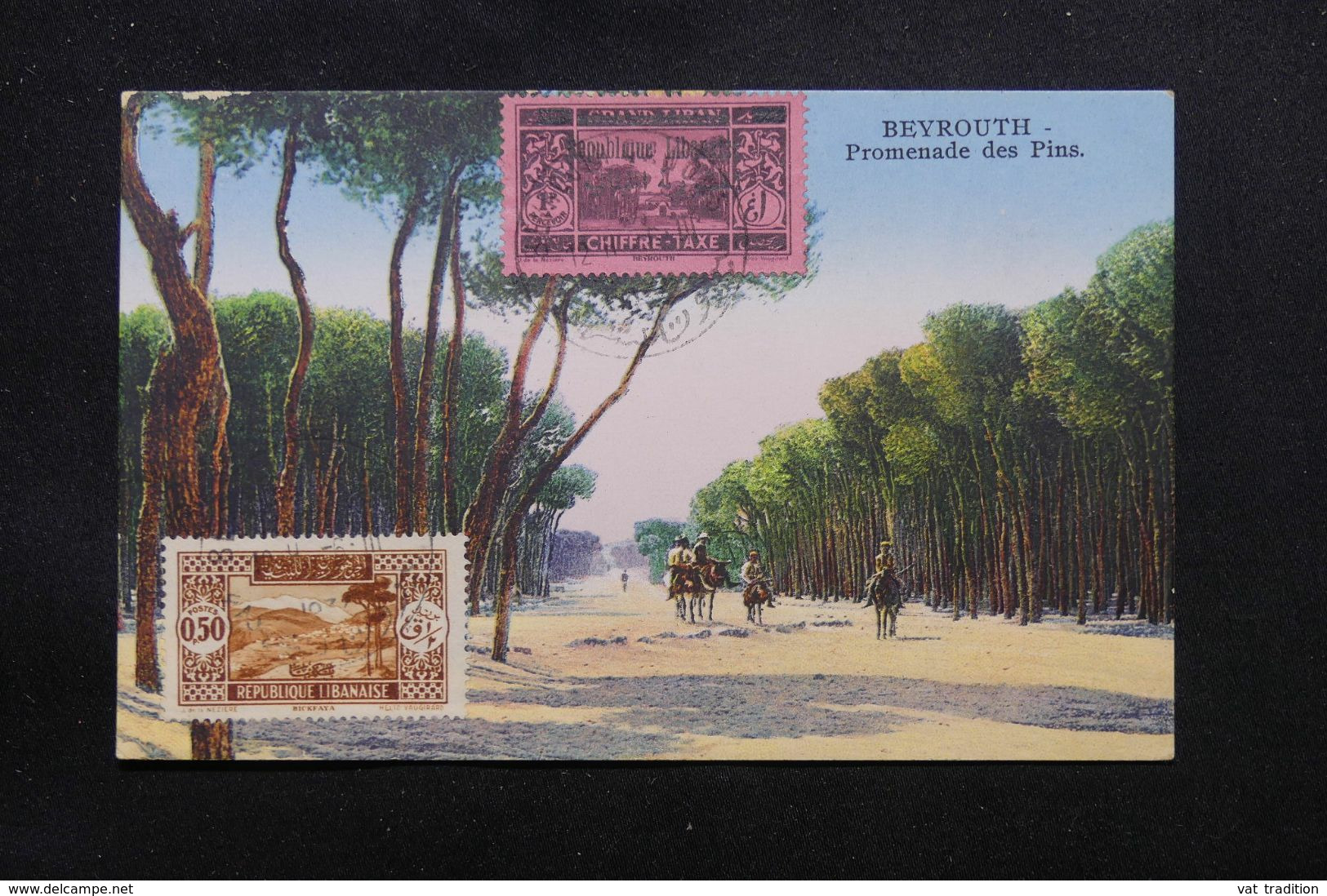 LIBAN - Oblitération De Beyrouth Canons Sur Carte Postale ( Promenade Des Pins ) En 1937 - L 69657 - Lettres & Documents