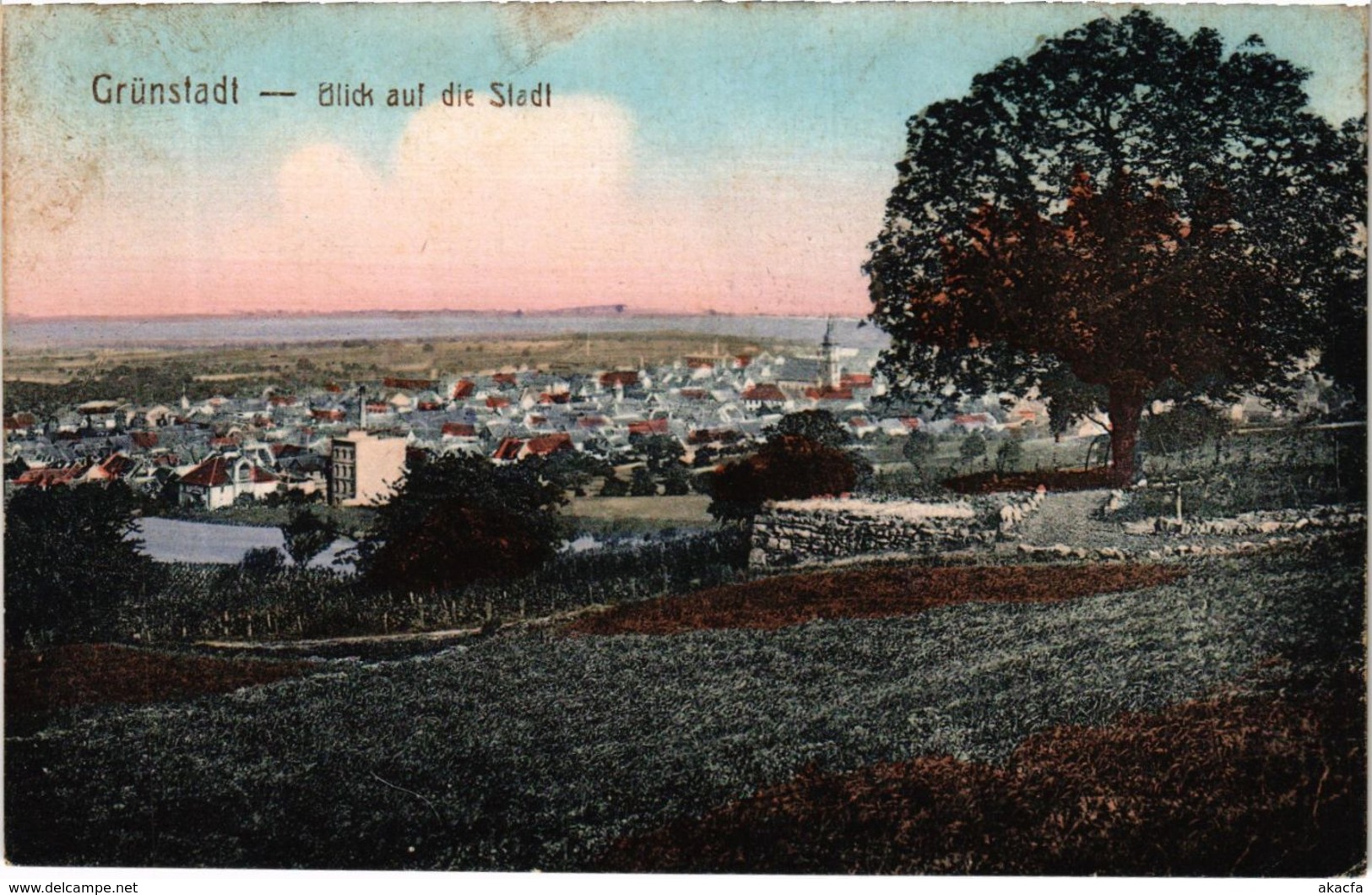 CPA AK Grunstadt Blick Auf Die Stadt GERMANY (921973) - Gruenstadt