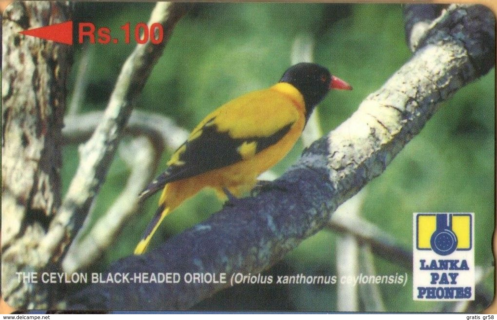 Sri Lanka (Ceylon) - SRL-25A (0), GPT, 25SRLA , Black-Headed Oriole, Birds, Rs.100, Used - Sri Lanka (Ceilán)