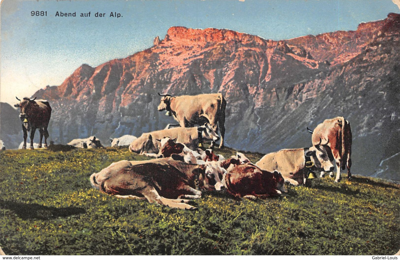 Abend Auf Der Alp  Kuh Herde - Illertissen
