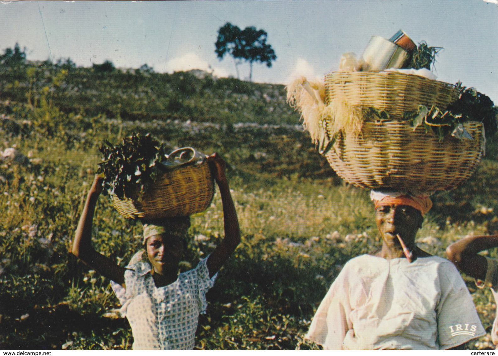 AMERIQUE,ANTILLES,HAITI,ile Hispaniola,,ile Découvert Par Christophe Colomb,HABITANTS - Haiti