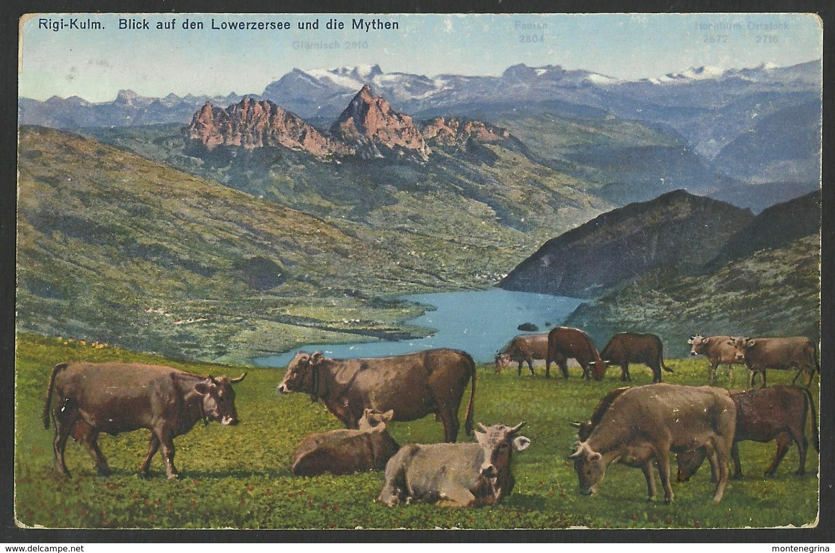 RIGI KULM View Of The Lauerzersee And The Muthen Vaches Cows Old Postcard (see Sales Conditions) 02590 - Lauerz