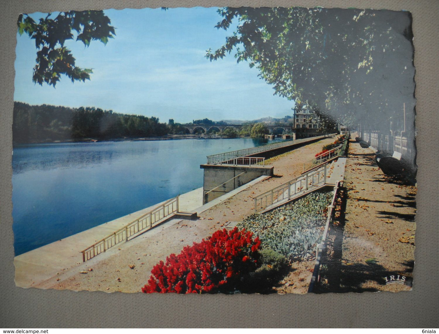 2675 Carte Postale MOISSAC Les Promenades    82 Tarn Et Garonne - Moissac