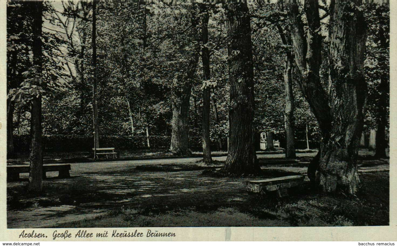 BAD AROLSEN - Grosse Allee Mit Kreussler Brunnen - Bad Arolsen