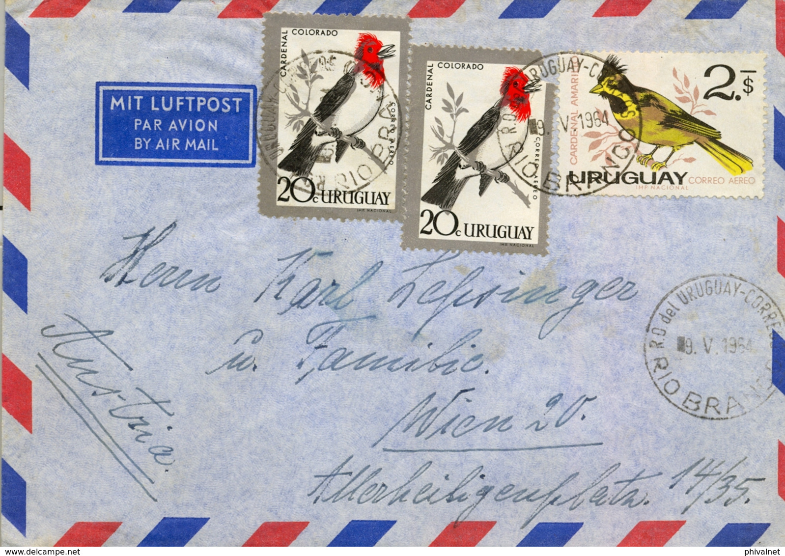 1964 , URUGUAY , RIO BRANCO - VIENA , SOBRE CIRCULADO , AVES , BIRDS , CARDENAL COLORADO , CARDENAL AMARILLO - Uruguay