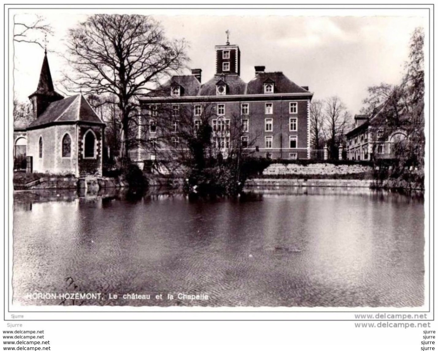 HORION-HOZEMONT  - Le Château Et La Chapelle - Kasteel - Grace-Hollogne