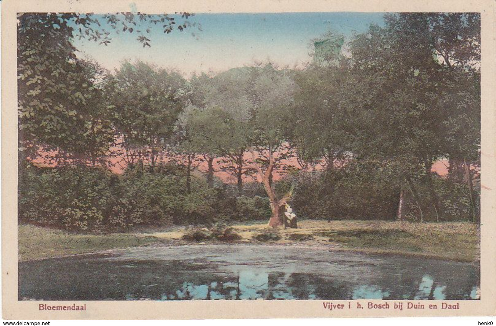 Bloemendaal Vijver In Het Bos Bij Duin Daal J1698 - Bloemendaal