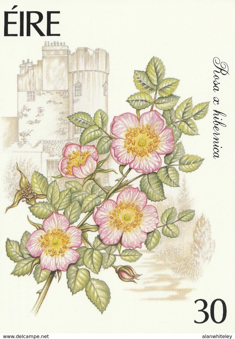 IRELAND 1990 Garden Flowers: Set Of 4 Postcards MINT/UNUSED - Entiers Postaux