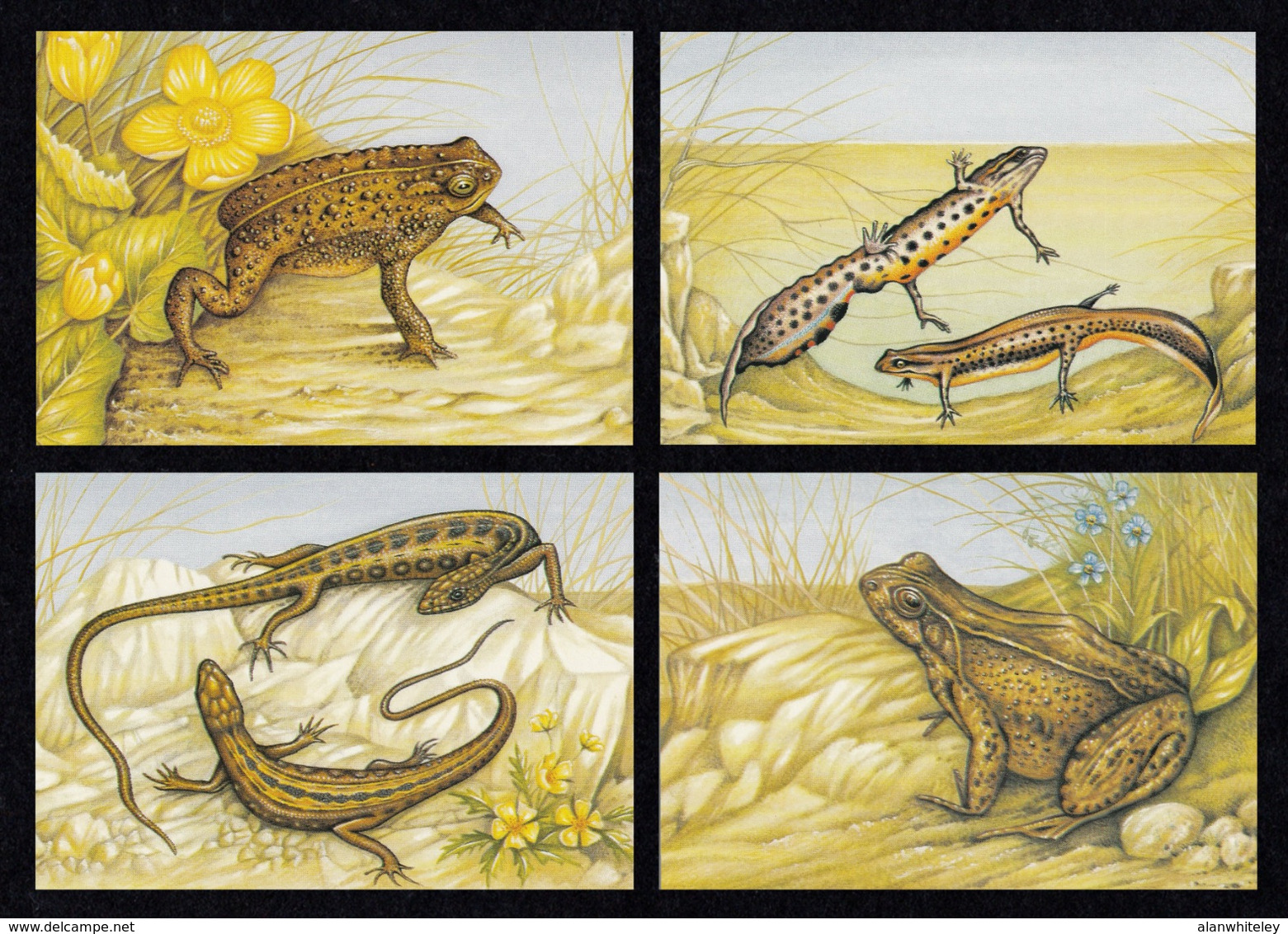 IRELAND 1995 Reptiles & Amphibians: Set Of 4 Postcards MINT/UNUSED - Interi Postali