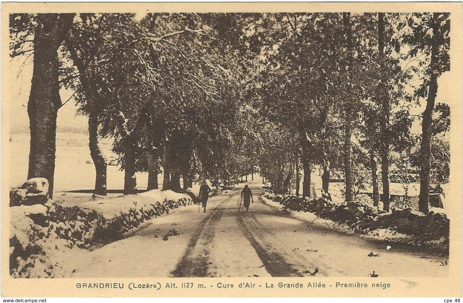 LOZERE : Grandrieu, La Grande Allée, Première Neige - Gandrieux Saint Amans