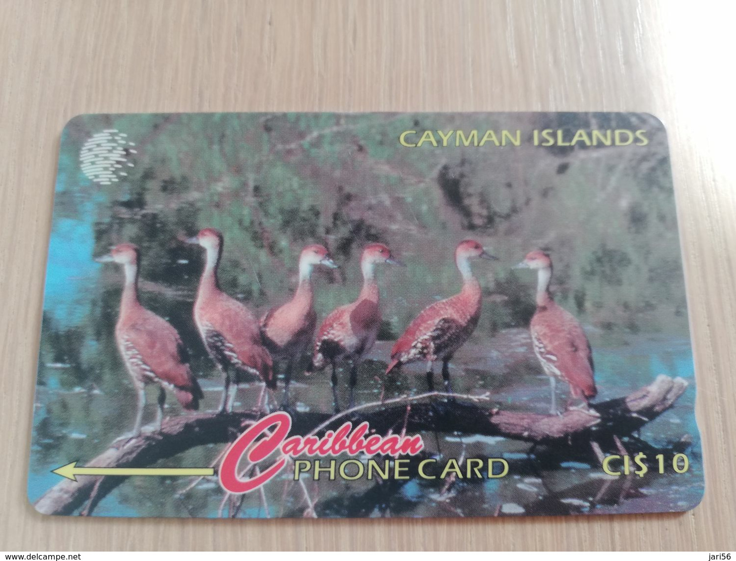 CAYMAN ISLANDS  CI $ 10,-  CAY-13A  CONTROL NR 13CCIA  WHISTLING DUCK     Fine Used Card  ** 3088** - Kaimaninseln (Cayman I.)