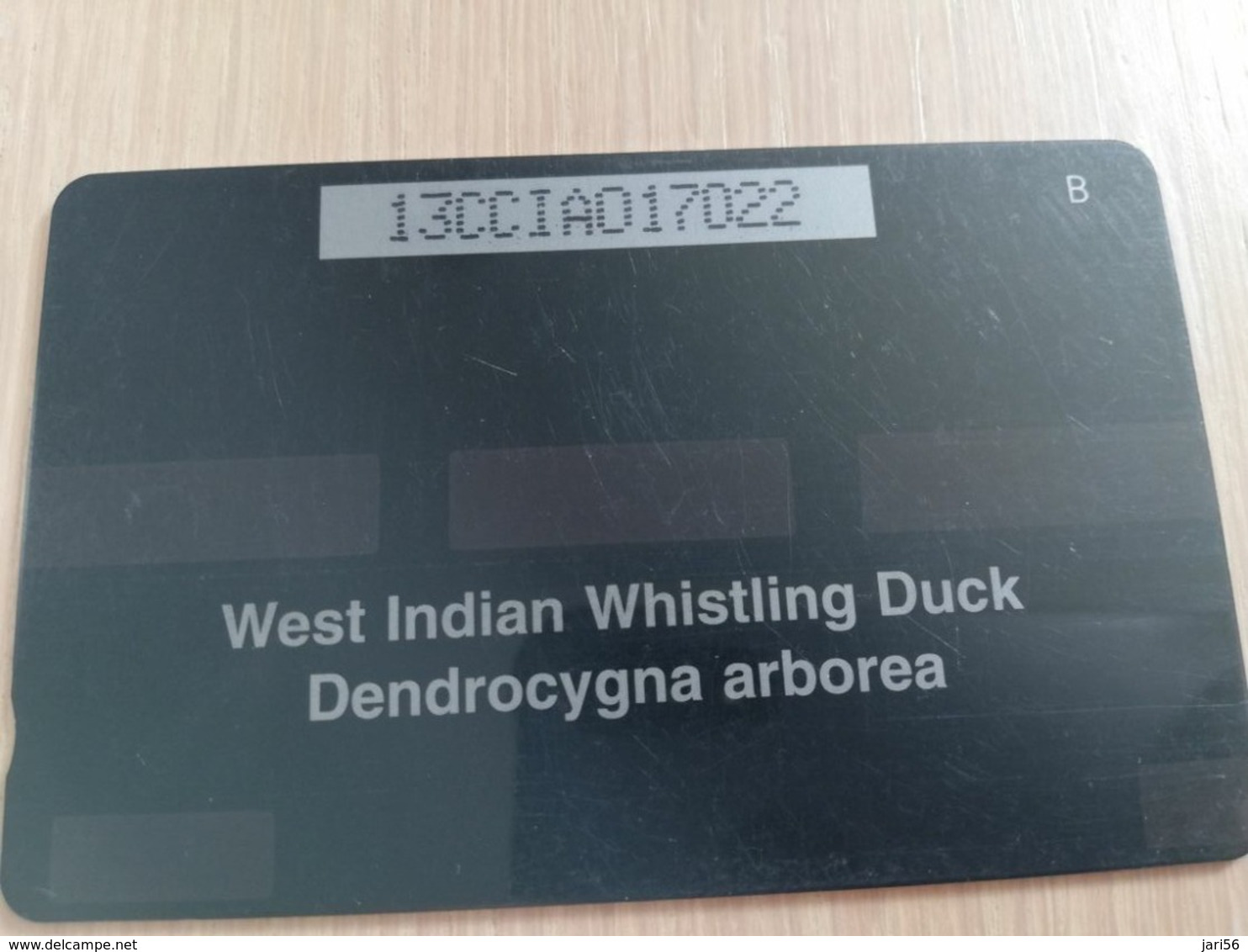 CAYMAN ISLANDS  CI $ 10,-  CAY-13A  CONTROL NR 13CCIA  WHISTLING DUCK     Fine Used Card  ** 3088** - Iles Cayman