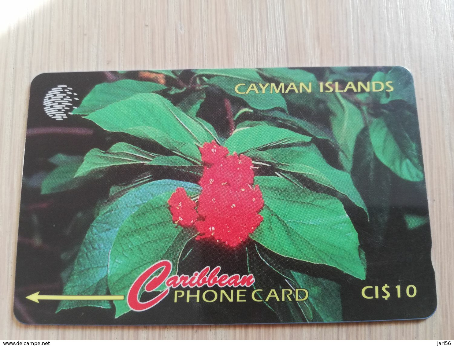 CAYMAN ISLANDS  CI $ 10,-  CAY-94B  CONTROL NR 94CCIB   BROADLEAF FLOWER      Fine Used Card  ** 3102** - Kaimaninseln (Cayman I.)