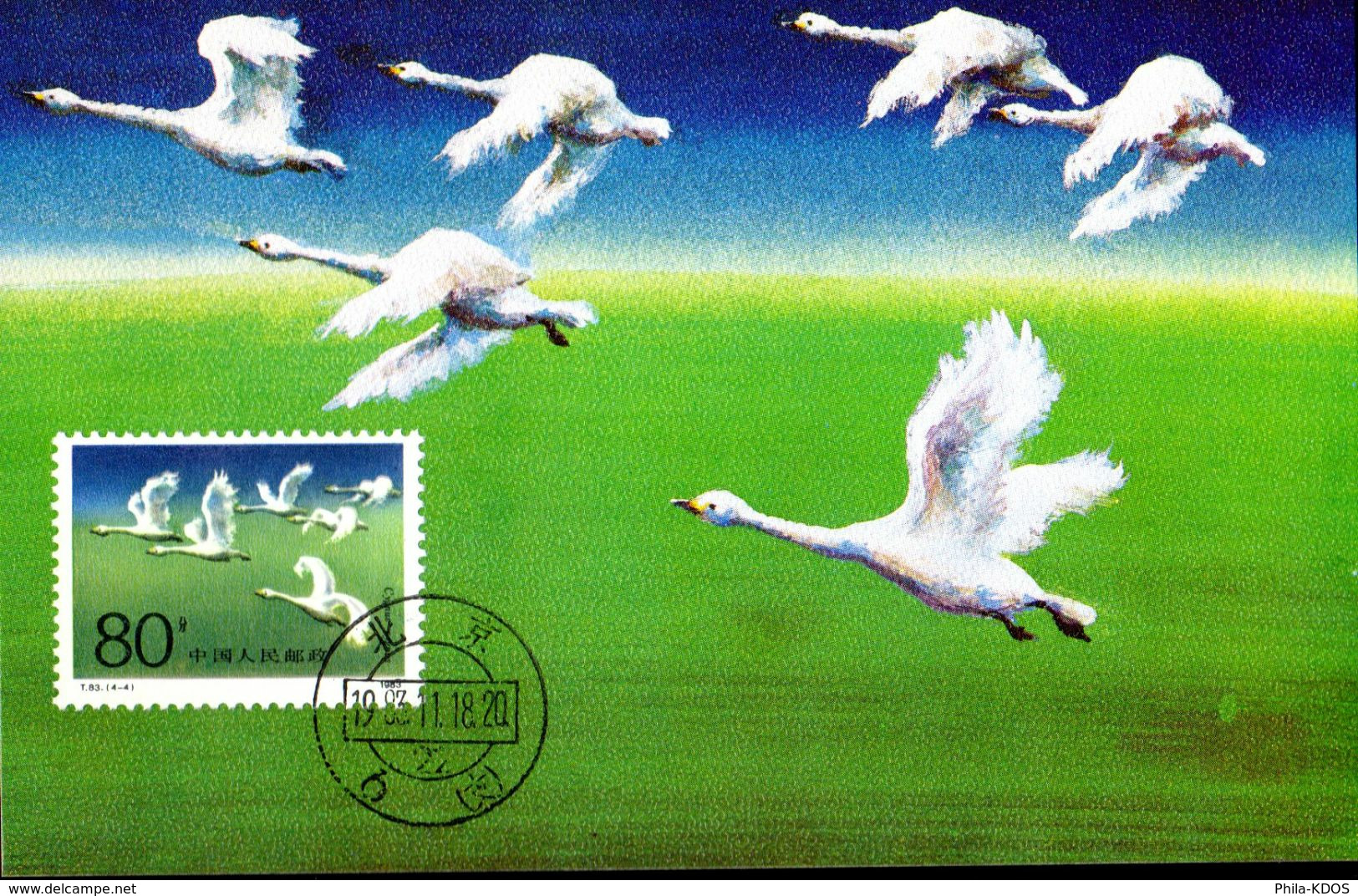 " CYGNES " Sur Carte Maximum De CHINE De 1983. Parfait état. CM - Maximumkaarten