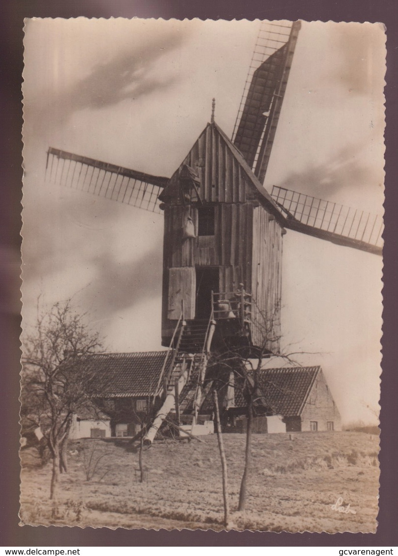 OOST VLAANDEREN ???  DE OUDE MOLEN   FOTOKAART - Zwalm