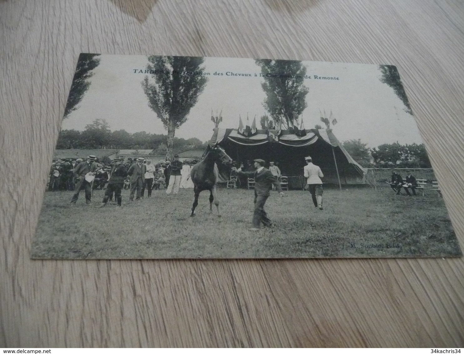 CPA 65 Hautes Pyrénées Tarbes Présentation Des Chevaux à La Commission De Remonte - Tarbes