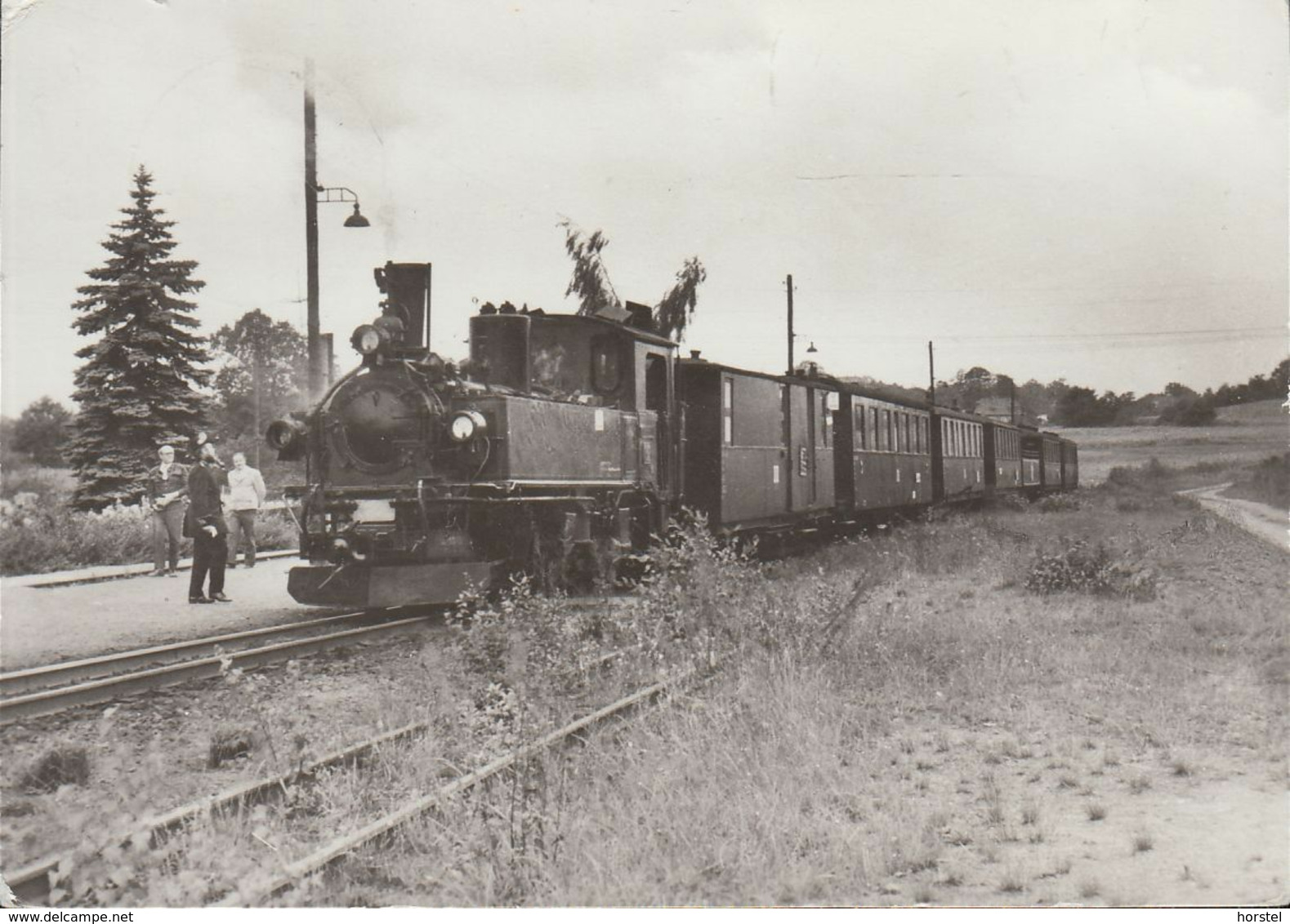 D-01445 Radebeul - Zug Im Bahnhof Friedewald - Dampflokomotive - Nice Stamp - Radebeul