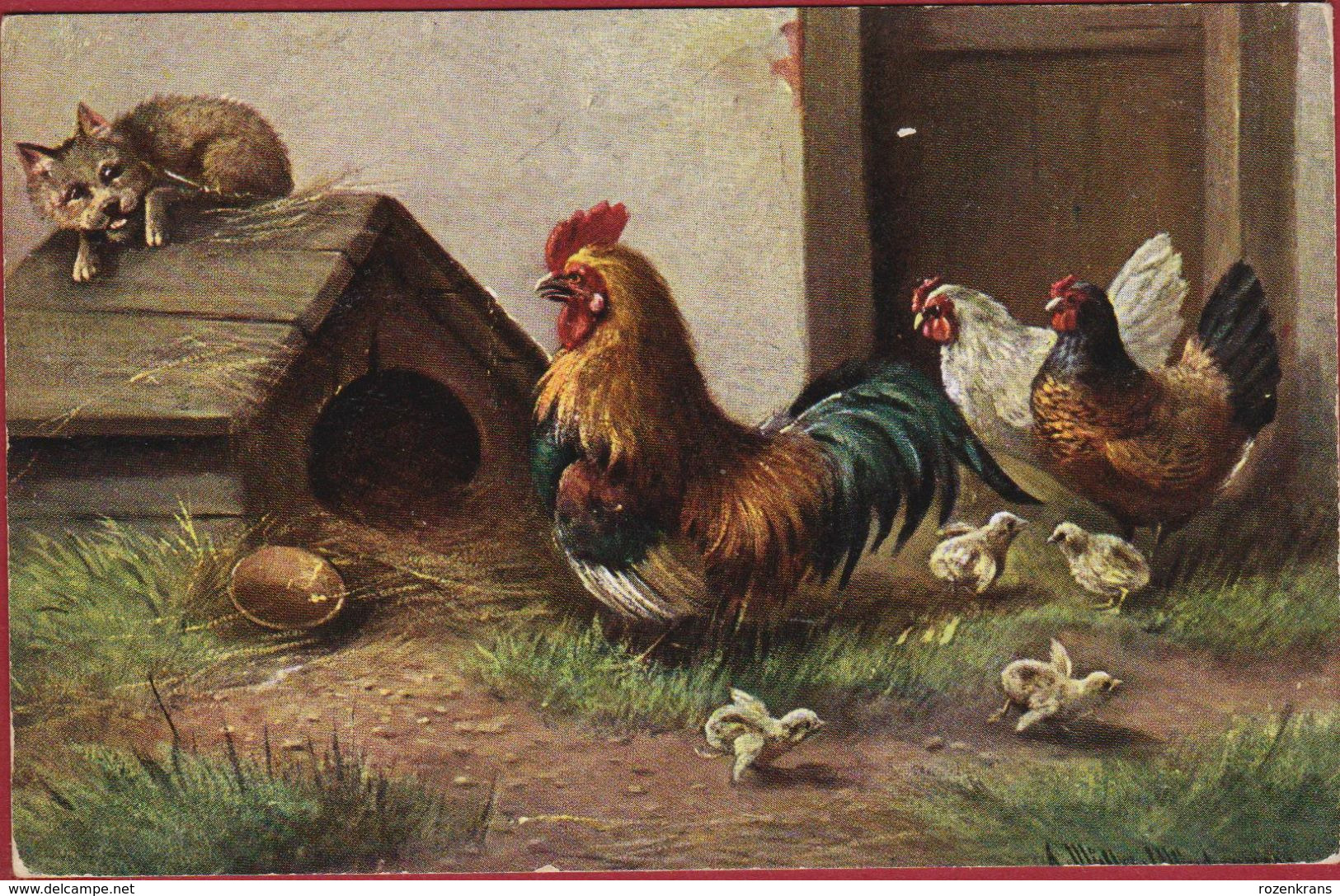 August Muller Illustrator Illustrateur Coq Rooster Oiseaux Chicken Hahn Gallo Cat Poes Chat Gatto CPA Old Postcard - Mueller, August - Munich