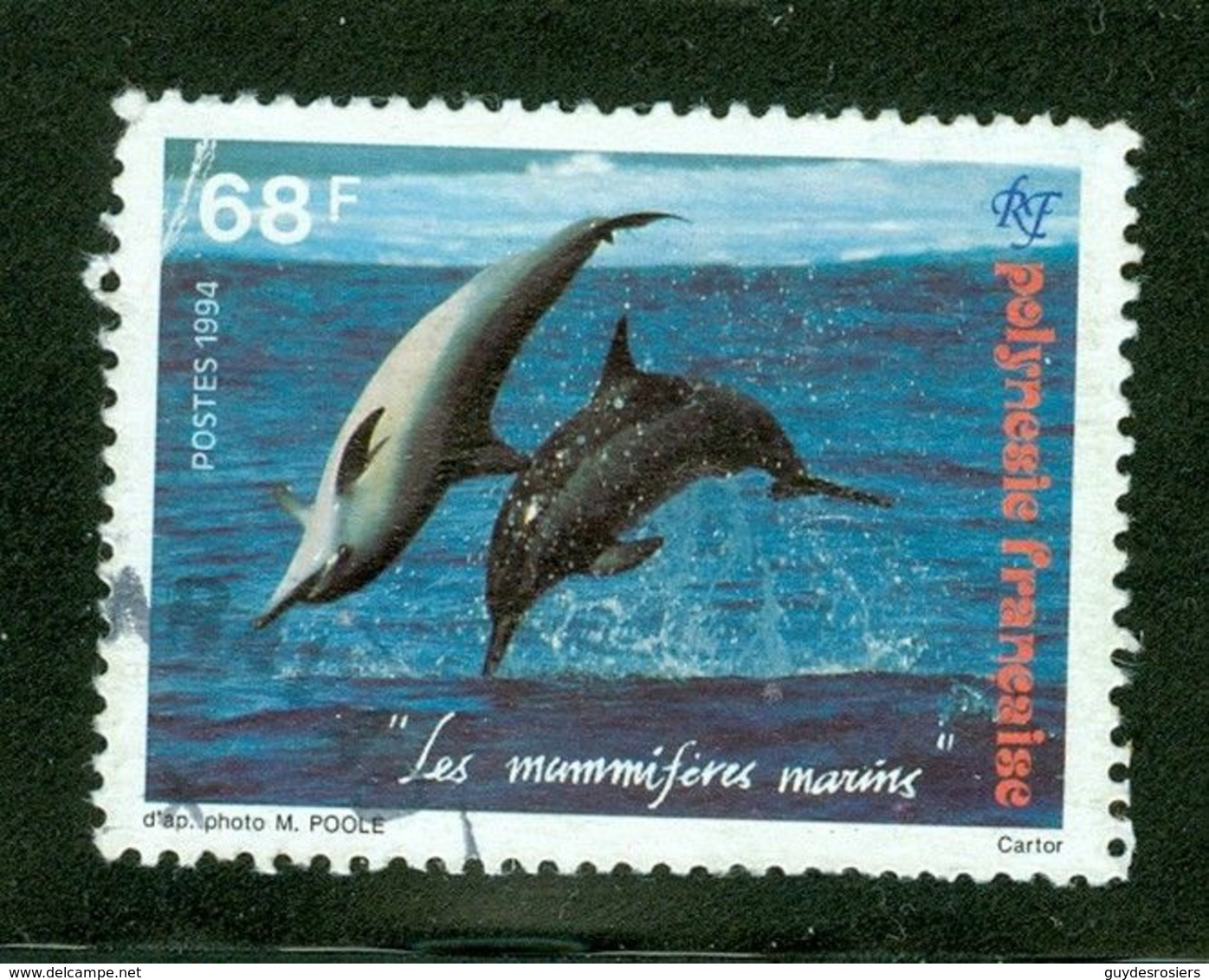 Mammifère Marin ; Polynésie Française / French Polynesia; Scott # 635; Usagé (3432) - Used Stamps