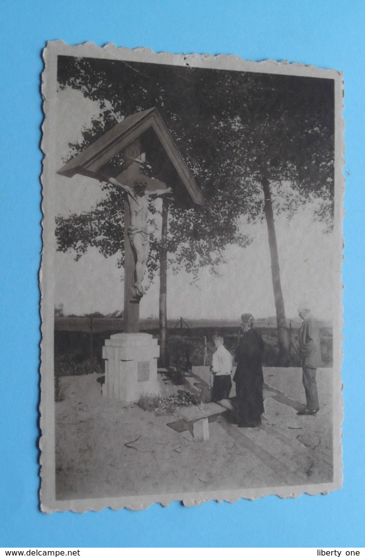 Calvarieberg Van WANNEGEM-LEDE / Vrienden Van Het Kruis ( Photo Barbaix ) Anno 19?? ( Zie / Voir Photo ) ! - Lede