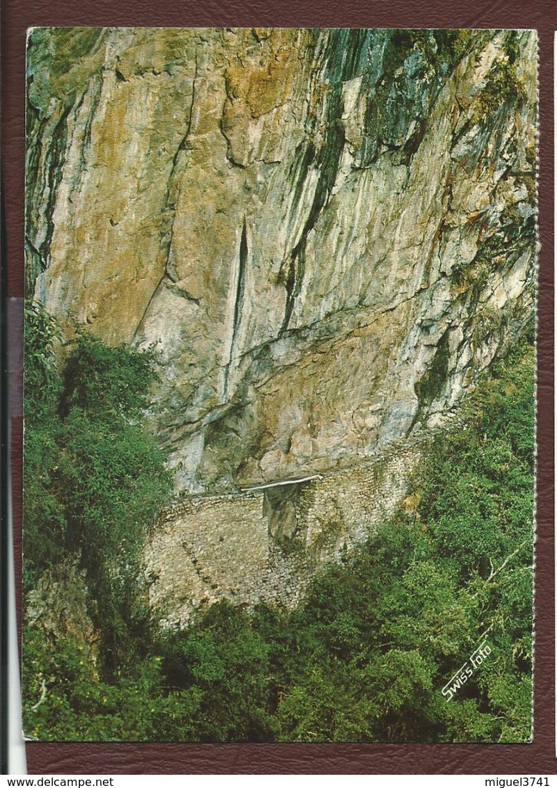 PEROU-MACHUPICCHU 2400M PUENTE LEVADIZO INCAICO  1970 .CP Ecrite - Perú