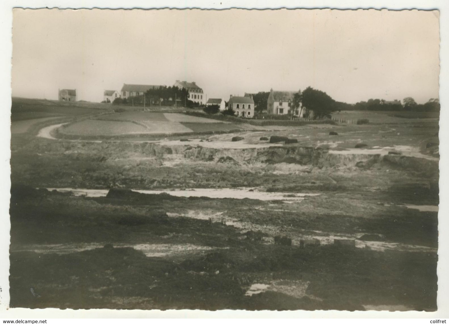 29 - Nevez - Raguénés  -  Vue Générale - Névez